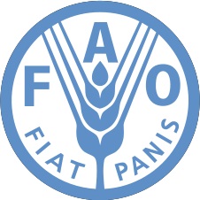 PRÀCTIQUES REMUNERADES A LA FAO