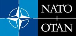 L’OTAN LLANÇA UN PROGRAMA PER A CONTRACTAR JOVES PROFESSIONALS